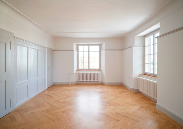 Barockdecke mit Stuck